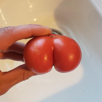 juicy tomato