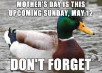 Just a friendly reminder