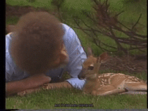 Just a gif of Bob Ross with a baby deer