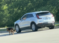 Just a guy walking his dog