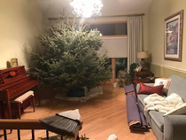 Just a reminder that this was the Christmas tree my dad picked out in 