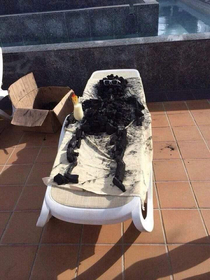 Just an American sunbathing in their heatwave