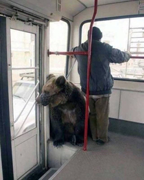 Just another day in Russia