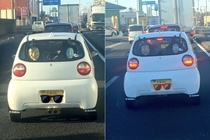 Just another day on a Japanese road