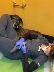 Just another yoga pose I came up with to get this nervous patient through a mani-pedi