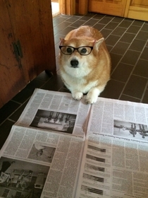 Just checking my Petco and Tennis ball stocks