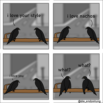 Just  crows doing crow-stuff