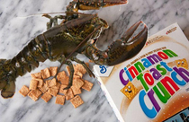 Just found a whole ass lobster in my box of Cinnamon Toast Crunch