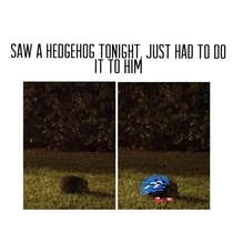 Just had to