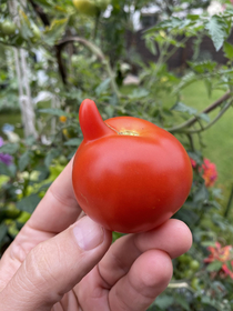 Just happy to be picked today