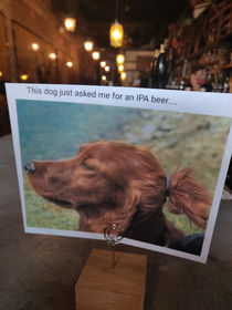 Just pour it in his handmade artisan water bowl