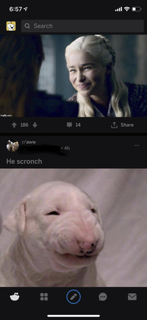 Just scrollin through reddit