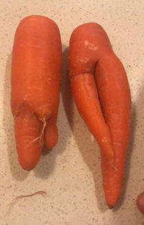 Just some sexy carrots