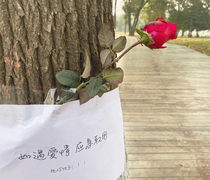 Just went through my album and wanna share this pic took in my campus the chinese words on the paper said pick up the flower for the emergency of love