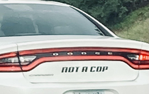 Just what a cop might say
