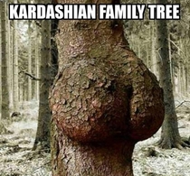 Kardashian Family Tree