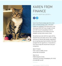 Karen From Finance