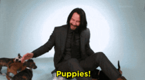 Keanu and some puppers