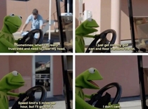 Kermit doesnt give a damn
