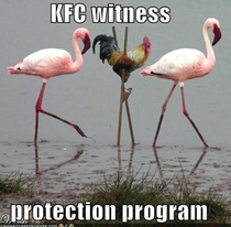 KFC witness protection program
