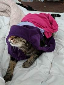 Khajiit has under wares if you have coin