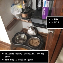 Khajiit has wares if you have coin