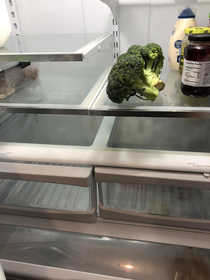 Kids came home from college yesterday and by this morning had eaten everything in the refrigerator Except for the broccoli