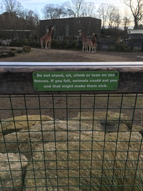 Killer giraffes in Dublin Zoo
