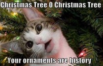 Kiss those ornaments good-bye