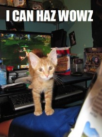 Kitteh pretty good at wow even without opposable thumbs