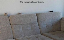 Kittens meet Vacuum