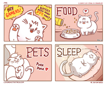 Kitties Love FPS too 