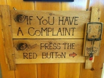 Kiwi complaints station