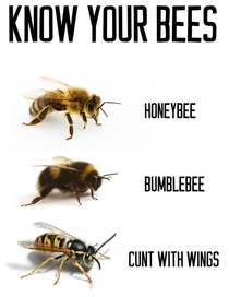 Know your bees people