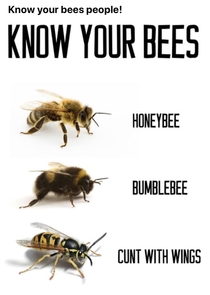 Know your BeezNess