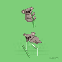 Koalas are just slowly pole vaulting