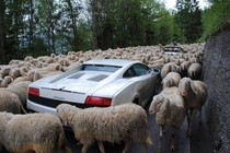 Lamborghini stuck in a traffic jam in Switzerland