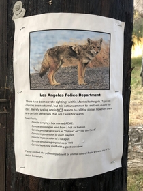 LAPD Basically dont call us about coyotes