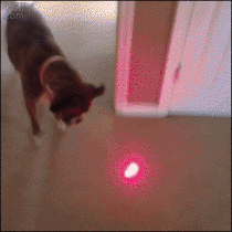 lasers are evil