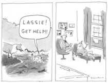 Lassie get help