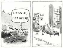 Lassie to the rescue