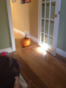 Last night I was either visited by The Great Pumpkin or my drunk brother