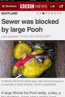 Last night was a crazy night for Pooh