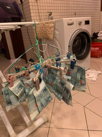 Laundering Money