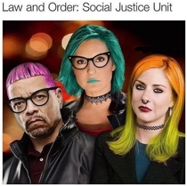 Law amp Order Social Justice Unit
