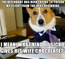 Lawyer dog is on the case
