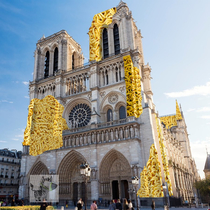 Leaked image for Notre Dame repair noodledame