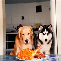 Leaving the dog alone with baked chicken