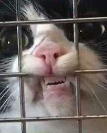 Let me out
