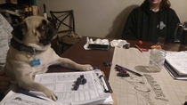 Lets play some Dungeons and Dogs